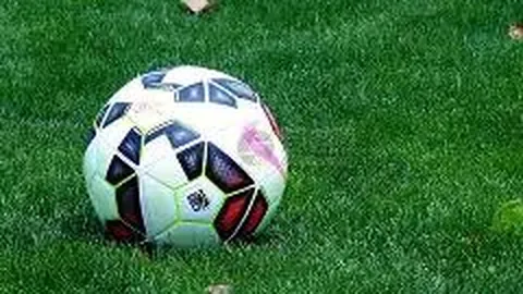 支付宝与微信支付在Web开发中的应用技巧