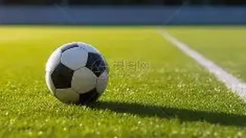 沙巴体育官网入口 资讯 095652 ql2